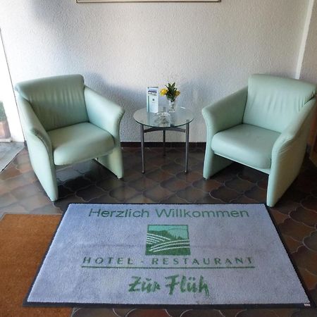 Hotel Zur Flueh Bad Säckingen Exterior photo